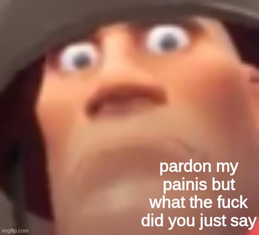 pardon my painis but what the fuck did you just say | made w/ Imgflip meme maker