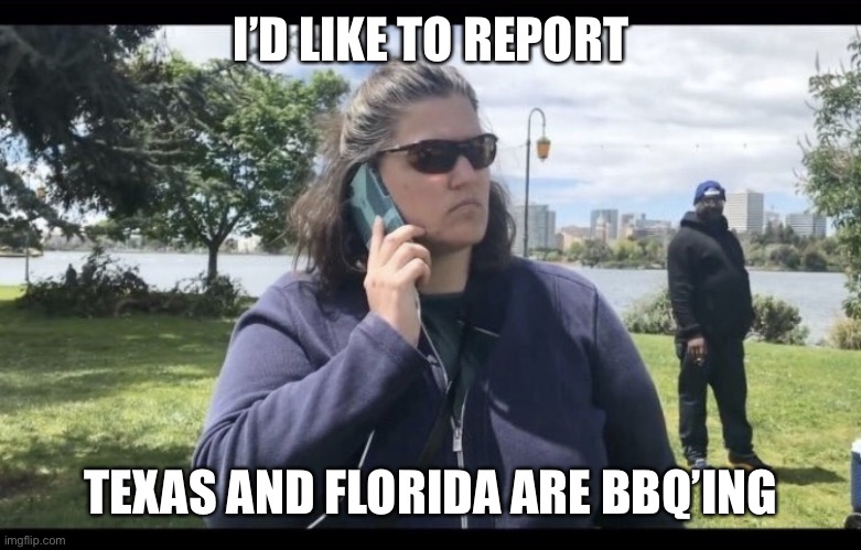 BBQ Becky | I’D LIKE TO REPORT TEXAS AND FLORIDA ARE BBQ’ING | image tagged in bbq becky | made w/ Imgflip meme maker