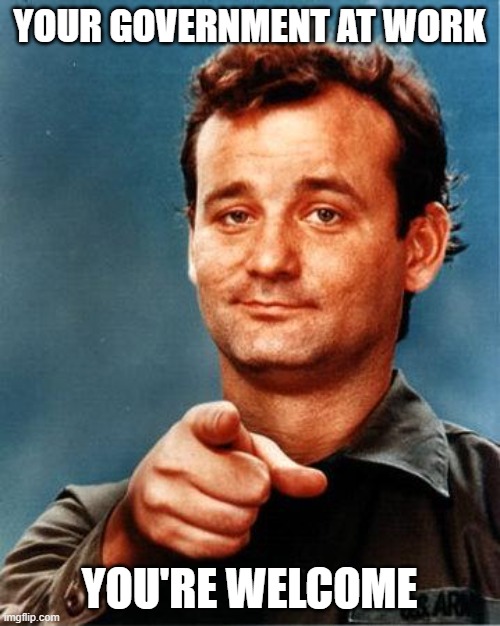 Bill Murray  | YOUR GOVERNMENT AT WORK YOU'RE WELCOME | image tagged in bill murray | made w/ Imgflip meme maker