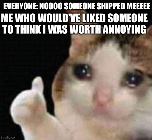 But nobody cares. | ME WHO WOULD’VE LIKED SOMEONE TO THINK I WAS WORTH ANNOYING; EVERYONE: NOOOO SOMEONE SHIPPED MEEEEE | image tagged in approved crying cat | made w/ Imgflip meme maker