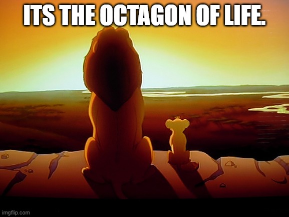 Lion King Meme | ITS THE OCTAGON OF LIFE. | image tagged in memes,lion king | made w/ Imgflip meme maker