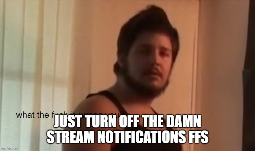 what the fuck is wrong with you | JUST TURN OFF THE DAMN STREAM NOTIFICATIONS FFS | image tagged in what the fuck is wrong with you | made w/ Imgflip meme maker