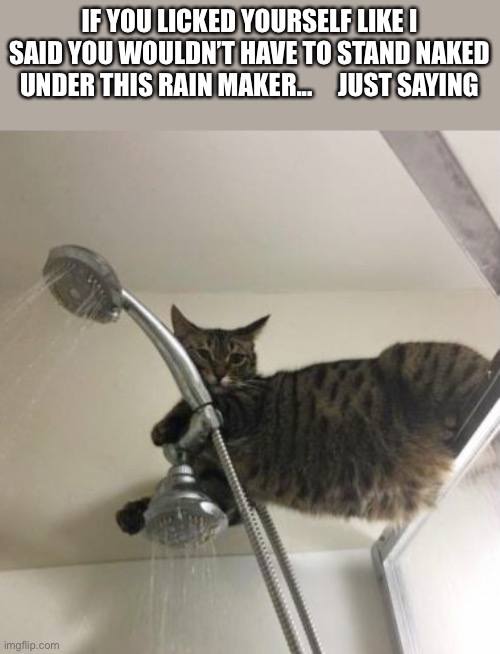 Showers are for losers | IF YOU LICKED YOURSELF LIKE I SAID YOU WOULDN’T HAVE TO STAND NAKED UNDER THIS RAIN MAKER...     JUST SAYING | image tagged in cat,shower cat,shower | made w/ Imgflip meme maker
