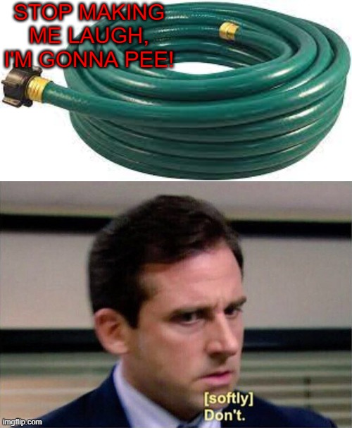 [softly] don't | STOP MAKING ME LAUGH, I'M GONNA PEE! | image tagged in michael scott don't softly,hose,im gonna pee,memes,funny | made w/ Imgflip meme maker