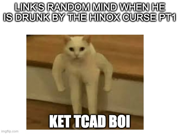 want pt 2? | LINK'S RANDOM MIND WHEN HE IS DRUNK BY THE HINOX CURSE PT1; KET TCAD BOI | image tagged in link | made w/ Imgflip meme maker