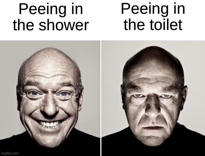 Peeing in the toilet; Peeing in the shower | made w/ Imgflip meme maker