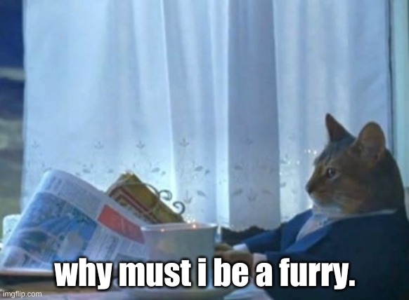 he doesnt wanna be a furry | why must i be a furry. | image tagged in memes,i should buy a boat cat | made w/ Imgflip meme maker