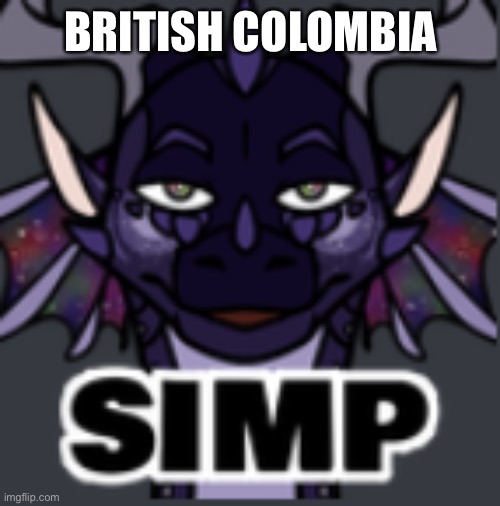 Peacemaker simp | BRITISH COLOMBIA | image tagged in peacemaker simp | made w/ Imgflip meme maker