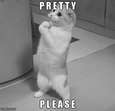 Every Human Being When They Want Something | P R E T T Y P L E A S E | image tagged in cats,true story,funny,cute,animals | made w/ Imgflip meme maker
