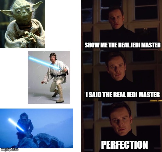 Han Solo is the true Jedi Master | SHOW ME THE REAL JEDI MASTER; I SAID THE REAL JEDI MASTER; PERFECTION | image tagged in perfection,star wars | made w/ Imgflip meme maker
