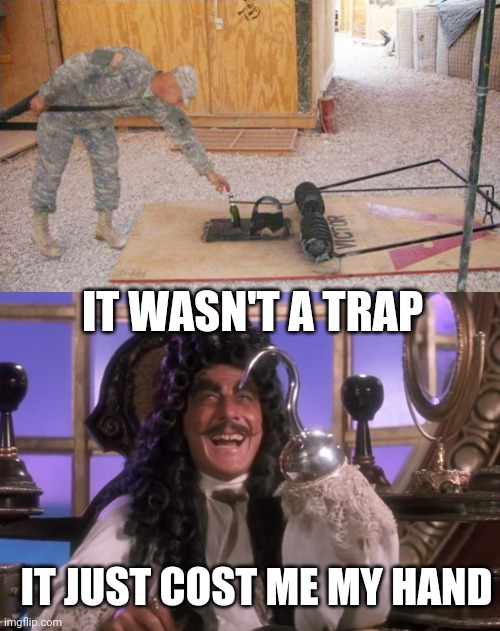 WAS IT WORTH IT? | IT WASN'T A TRAP; IT JUST COST ME MY HAND | image tagged in pirate,captain hook,pirates,trap,alcohol | made w/ Imgflip meme maker