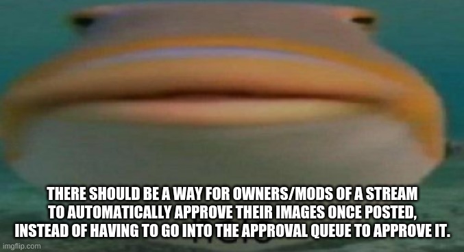 It'd be a pretty useful feature | THERE SHOULD BE A WAY FOR OWNERS/MODS OF A STREAM TO AUTOMATICALLY APPROVE THEIR IMAGES ONCE POSTED, INSTEAD OF HAVING TO GO INTO THE APPROVAL QUEUE TO APPROVE IT. | image tagged in helo | made w/ Imgflip meme maker