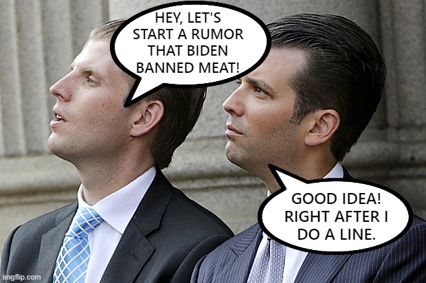 Misinformation/rumor that Biden banned meat | HEY, LET'S
START A RUMOR
THAT BIDEN
BANNED MEAT! GOOD IDEA!
RIGHT AFTER I
DO A LINE. | image tagged in don jr and eric trump,trump,biden,rumors,misinformation,idiots | made w/ Imgflip meme maker