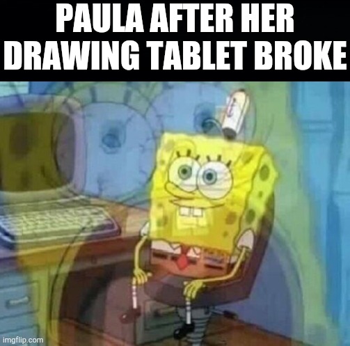 Internal screaming | PAULA AFTER HER DRAWING TABLET BROKE | image tagged in internal screaming | made w/ Imgflip meme maker