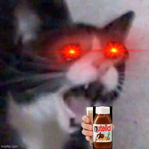Screaming Cat meme | image tagged in screaming cat meme | made w/ Imgflip meme maker