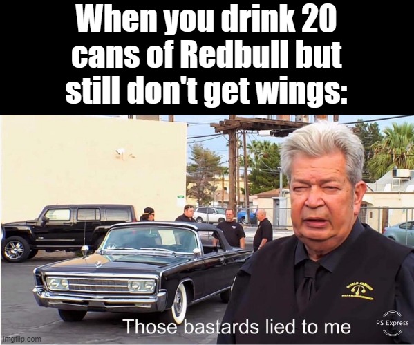 Scams, scams everywhere | When you drink 20 cans of Redbull but still don't get wings: | image tagged in funny,memes | made w/ Imgflip meme maker