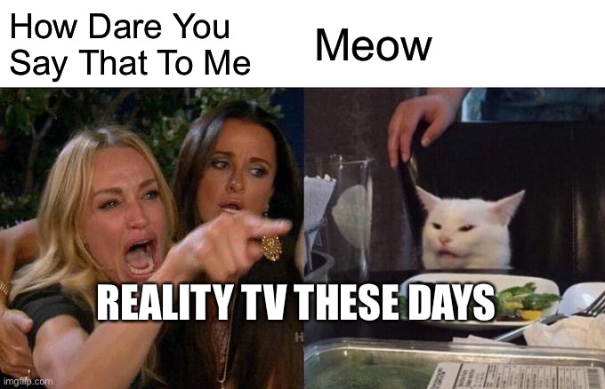 Woman Yelling At Cat | How Dare You Say That To Me; Meow; REALITY TV THESE DAYS | image tagged in memes,woman yelling at cat | made w/ Imgflip meme maker