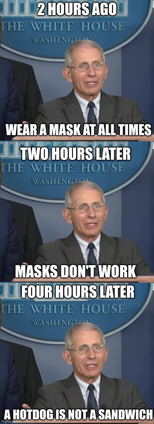 Say My Name | 2 HOURS AGO; WEAR A MASK AT ALL TIMES; TWO HOURS LATER; MASKS DON'T WORK; FOUR HOURS LATER; A HOTDOG IS NOT A SANDWICH | image tagged in dr fauci,obey,nwo,reset | made w/ Imgflip meme maker