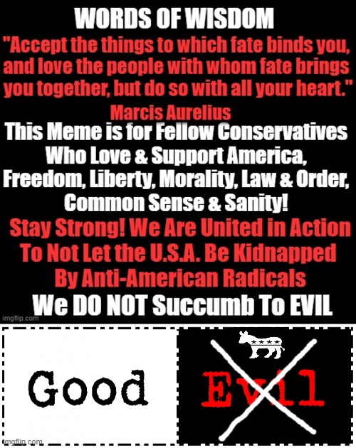 We Choose Common Sense & Sanity... | image tagged in political meme,conservatives,good vs evil,conservative vs liberal | made w/ Imgflip meme maker