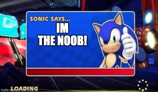 Sonic Says | IM THE NOOB! | image tagged in sonic says | made w/ Imgflip meme maker