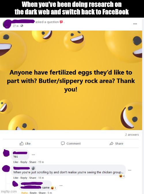 Hazards of the Dark Web |  When you've been doing research on the dark web and switch back to FaceBook | image tagged in dark web,funny,darkweb,facebook,eggs,chickens | made w/ Imgflip meme maker