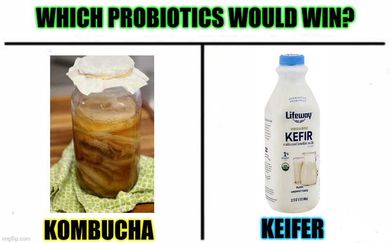 Testing this in my belly today. | WHICH PROBIOTICS WOULD WIN? KOMBUCHA; KEIFER | image tagged in who would win blank,probiotics,kombucha,keifer | made w/ Imgflip meme maker