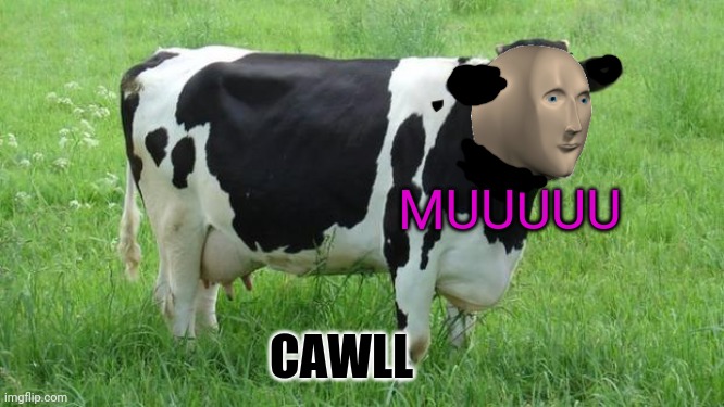 Meme manz zuu | MUUUUU; CAWLL | image tagged in cow,meme man,spelling,world champion,zoo | made w/ Imgflip meme maker