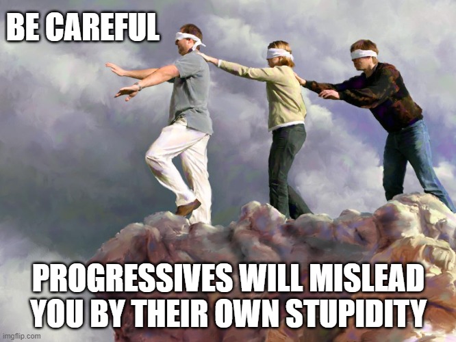 Blind leading the Blind | BE CAREFUL; PROGRESSIVES WILL MISLEAD YOU BY THEIR OWN STUPIDITY | image tagged in blind lead blind,woke,liberals,democrats,progressives,dimwits | made w/ Imgflip meme maker