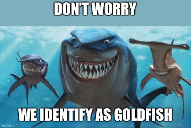 Finding Nemo Sharks | DON’T WORRY WE IDENTIFY AS GOLDFISH | image tagged in finding nemo sharks | made w/ Imgflip meme maker
