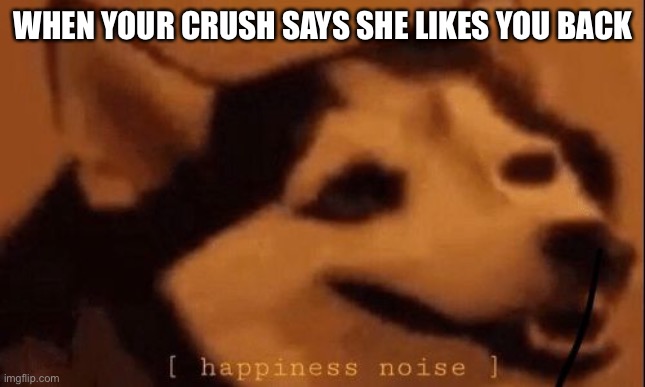 This actually happened | WHEN YOUR CRUSH SAYS SHE LIKES YOU BACK | image tagged in happiness noise | made w/ Imgflip meme maker