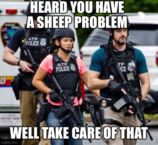 ATF Karen | HEARD YOU HAVE A SHEEP PROBLEM; WELL TAKE CARE OF THAT | image tagged in atf karen | made w/ Imgflip meme maker