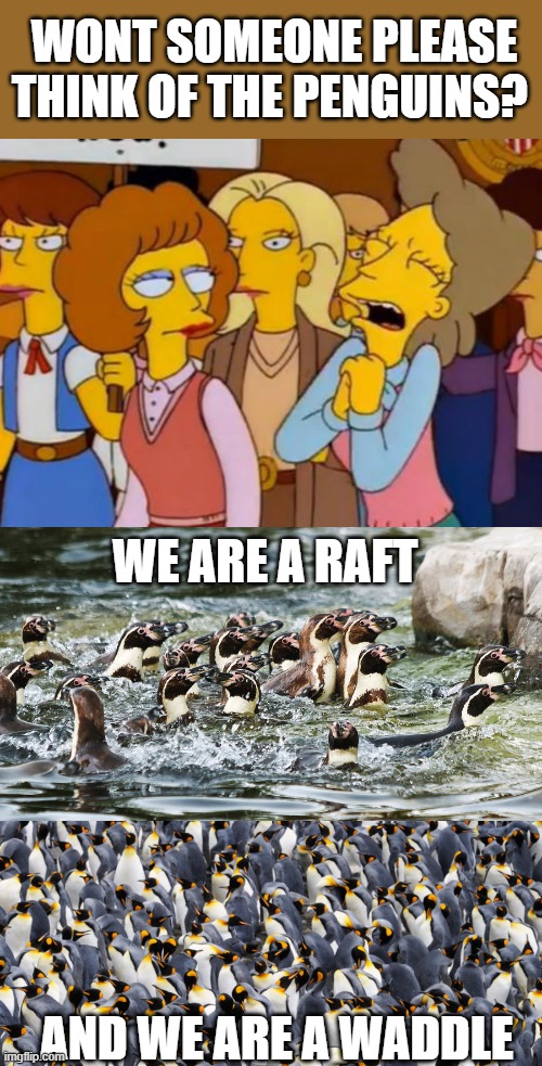 WONT SOMEONE PLEASE THINK OF THE PENGUINS? AND WE ARE A WADDLE WE ARE A RAFT | image tagged in think of the children simpsons | made w/ Imgflip meme maker