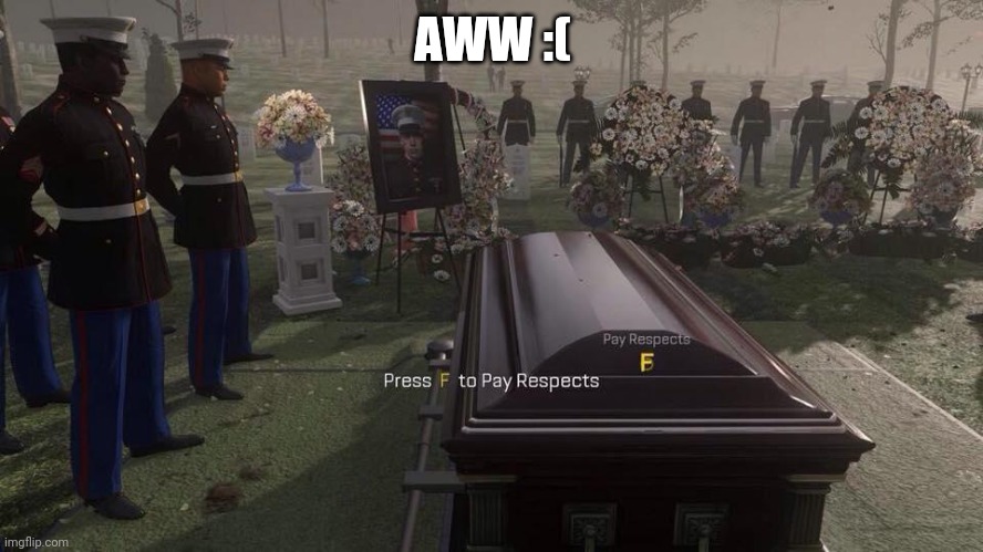 Press F to Pay Respects | AWW :( | image tagged in press f to pay respects | made w/ Imgflip meme maker