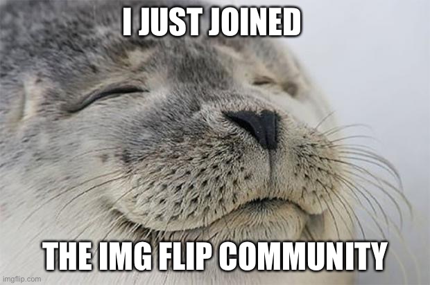 Hi | I JUST JOINED; THE IMG FLIP COMMUNITY | image tagged in memes,satisfied seal | made w/ Imgflip meme maker