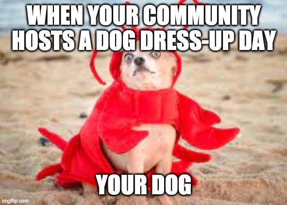 That one parent.... and terrible dog owner | image tagged in dog,crab | made w/ Imgflip meme maker