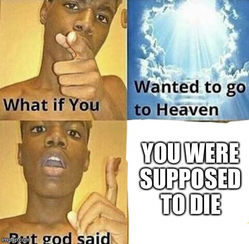 What if you wanted to go to Heaven | YOU WERE SUPPOSED TO DIE | image tagged in what if you wanted to go to heaven | made w/ Imgflip meme maker