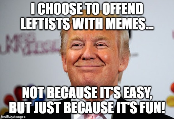 Donald trump approves | I CHOOSE TO OFFEND LEFTISTS WITH MEMES... NOT BECAUSE IT'S EASY, BUT JUST BECAUSE IT'S FUN! | image tagged in donald trump approves | made w/ Imgflip meme maker