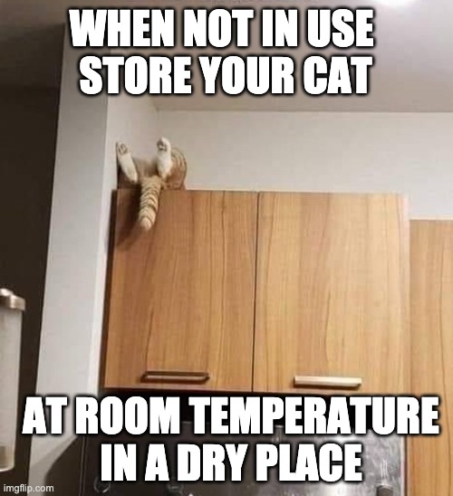 cat storage | WHEN NOT IN USE 
STORE YOUR CAT; AT ROOM TEMPERATURE IN A DRY PLACE | image tagged in funny,funny cats,funny cat memes,lolcats | made w/ Imgflip meme maker