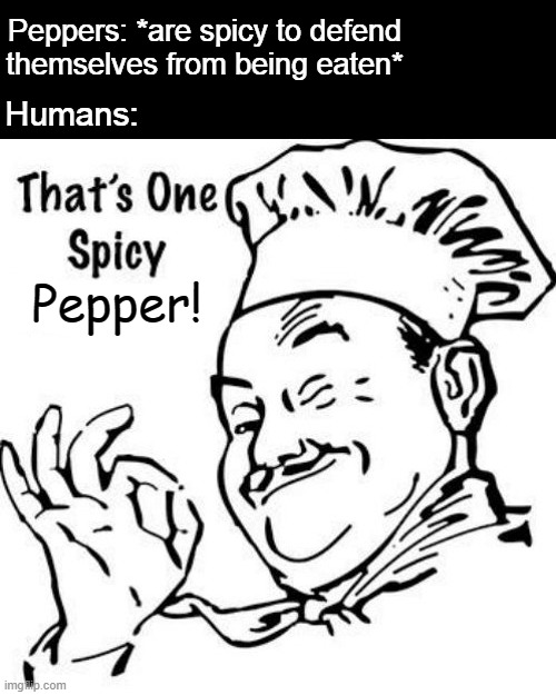 s p i c y | Peppers: *are spicy to defend themselves from being eaten*; Humans:; Pepper! | image tagged in that s one spicy meatball | made w/ Imgflip meme maker
