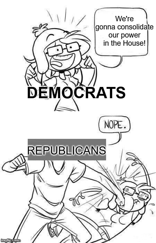We're gonna consolidate our power in the House! REPUBLICANS DEMOCRATS | made w/ Imgflip meme maker