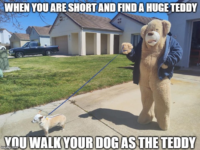 Teddy | WHEN YOU ARE SHORT AND FIND A HUGE TEDDY; YOU WALK YOUR DOG AS THE TEDDY | image tagged in dog,teddy bear,walking | made w/ Imgflip meme maker