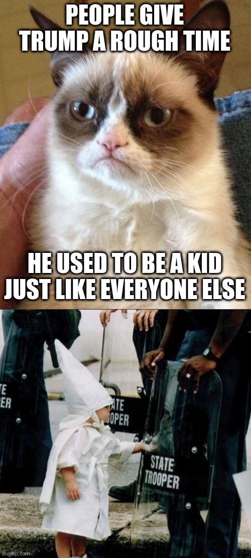 true true | PEOPLE GIVE TRUMP A ROUGH TIME; HE USED TO BE A KID JUST LIKE EVERYONE ELSE | image tagged in memes,grumpy cat,rumpt | made w/ Imgflip meme maker