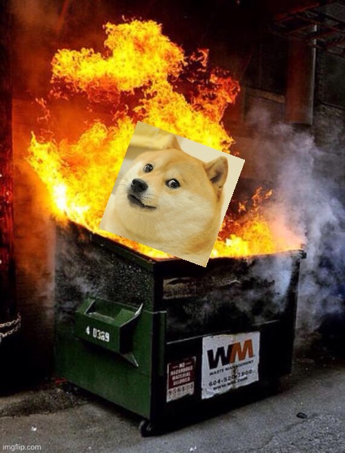 Dumpster Fire | image tagged in dumpster fire | made w/ Imgflip meme maker