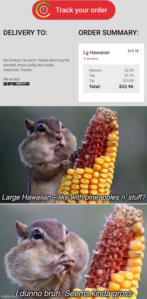 Knock Softly Like a Baby Chipmunk | Large Hawaiian—like with pineapples n’ stuff? I dunno bruh. Seems kinda gross | image tagged in funny memes,no contact delivery | made w/ Imgflip meme maker