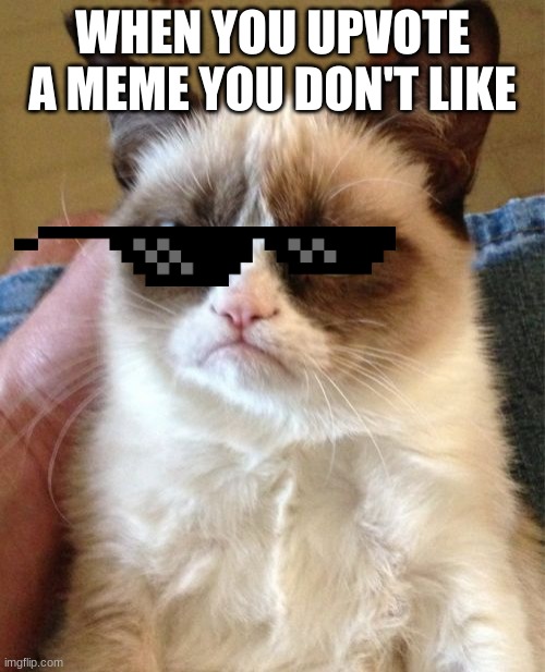Grumpy Cat Meme | WHEN YOU UPVOTE A MEME YOU DON'T LIKE | image tagged in memes,grumpy cat | made w/ Imgflip meme maker