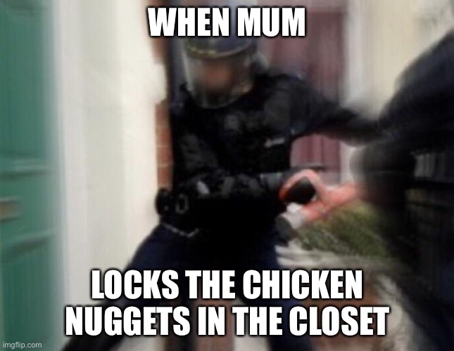 Mother... | WHEN MUM; LOCKS THE CHICKEN NUGGETS IN THE CLOSET | image tagged in fbi door breach | made w/ Imgflip meme maker