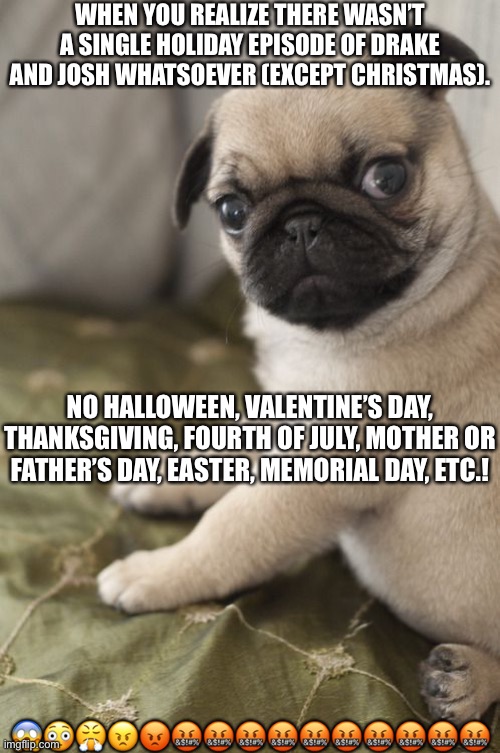 Angry Pug | WHEN YOU REALIZE THERE WASN’T A SINGLE HOLIDAY EPISODE OF DRAKE AND JOSH WHATSOEVER (EXCEPT CHRISTMAS). NO HALLOWEEN, VALENTINE’S DAY, THANKSGIVING, FOURTH OF JULY, MOTHER OR FATHER’S DAY, EASTER, MEMORIAL DAY, ETC.! 😱😳😤😠😡🤬🤬🤬🤬🤬🤬🤬🤬🤬🤬 | image tagged in angry pug | made w/ Imgflip meme maker
