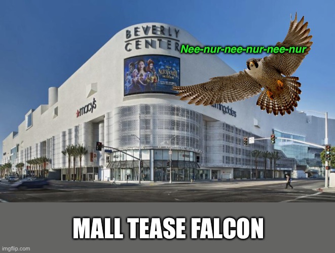 Falcon Not to Scale | Nee-nur-nee-nur-nee-nur; MALL TEASE FALCON | image tagged in funny memes,eyeroll,dad jokes | made w/ Imgflip meme maker