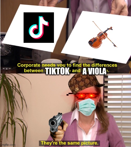 They're Obviously the Same Thing | TIKTOK; A VIOLA | image tagged in memes,they're the same picture,tiktok sucks,viola | made w/ Imgflip meme maker