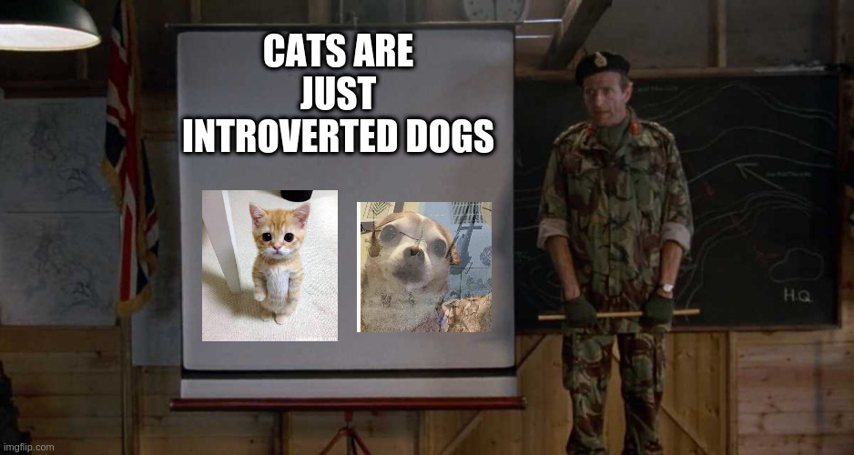 Army Speech | CATS ARE JUST INTROVERTED DOGS | image tagged in army speech | made w/ Imgflip meme maker